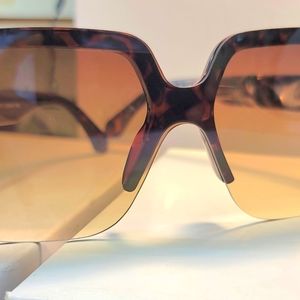 Designer style unisex sunglasses +hard case